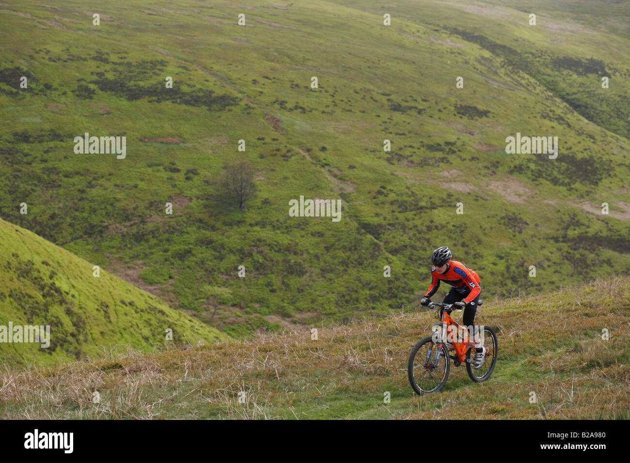 Mountain Bike Rider profonda nelle valli del Galles del Sud Foto Stock