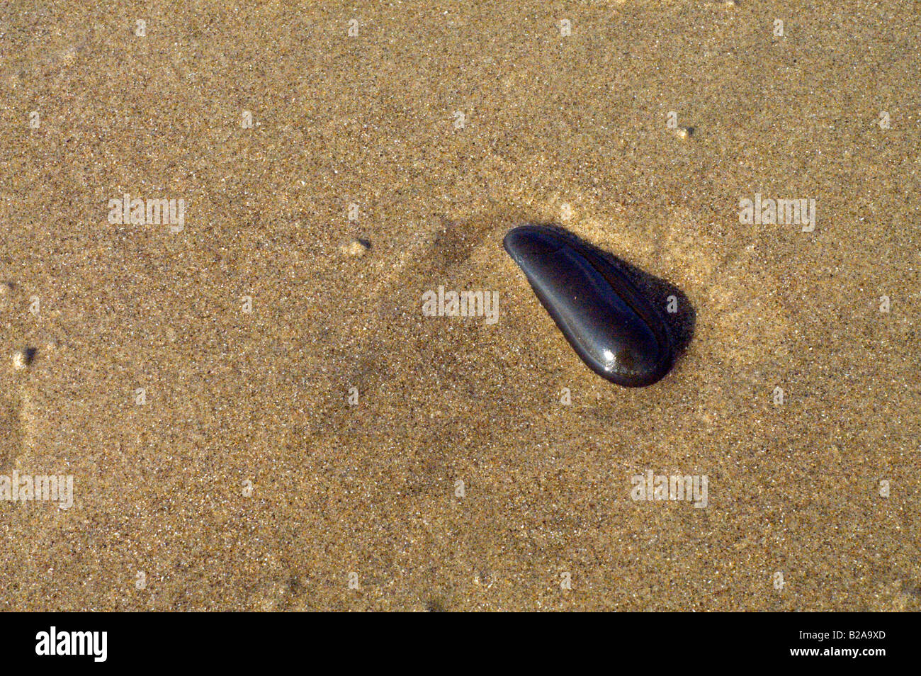 La laminazione di acqua su sabbia e una roccia nera sulla spiaggia dell'oceano. Foto Stock