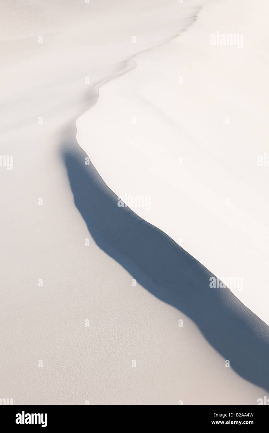 Altamente dettagliate texture di dune di sabbia Foto Stock