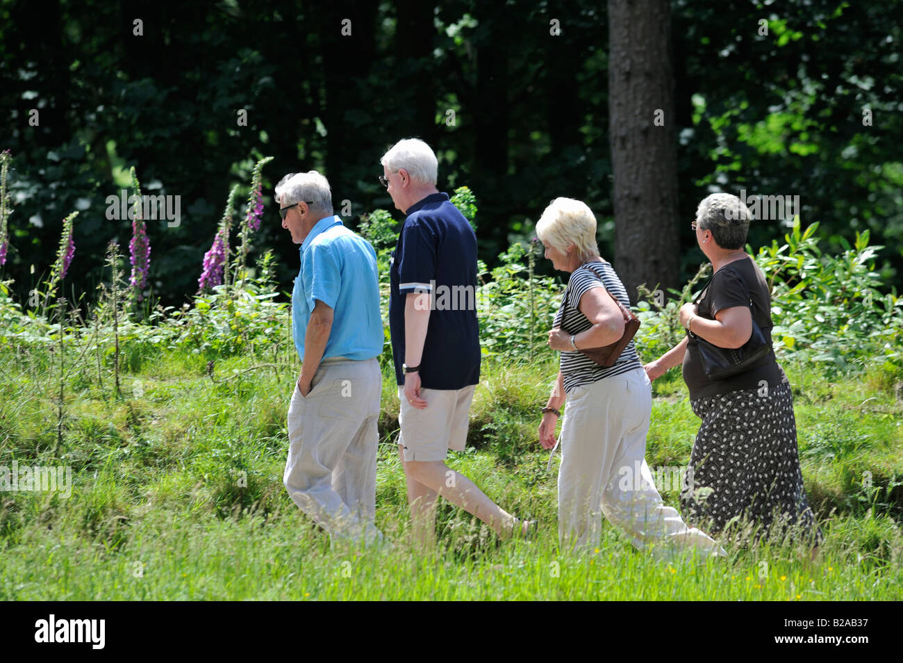 Un gruppo di amici per una facile passeggiata lungo i numerosi percorsi disponibili nella splendida Alta valle del Derwent Foto Stock