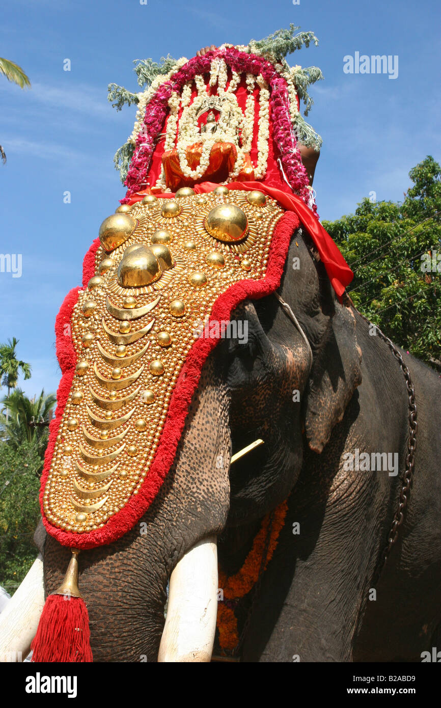 Riccamente decorato tempio cerimoniali con elefante con oro caparison. Il Kerala India Foto Stock