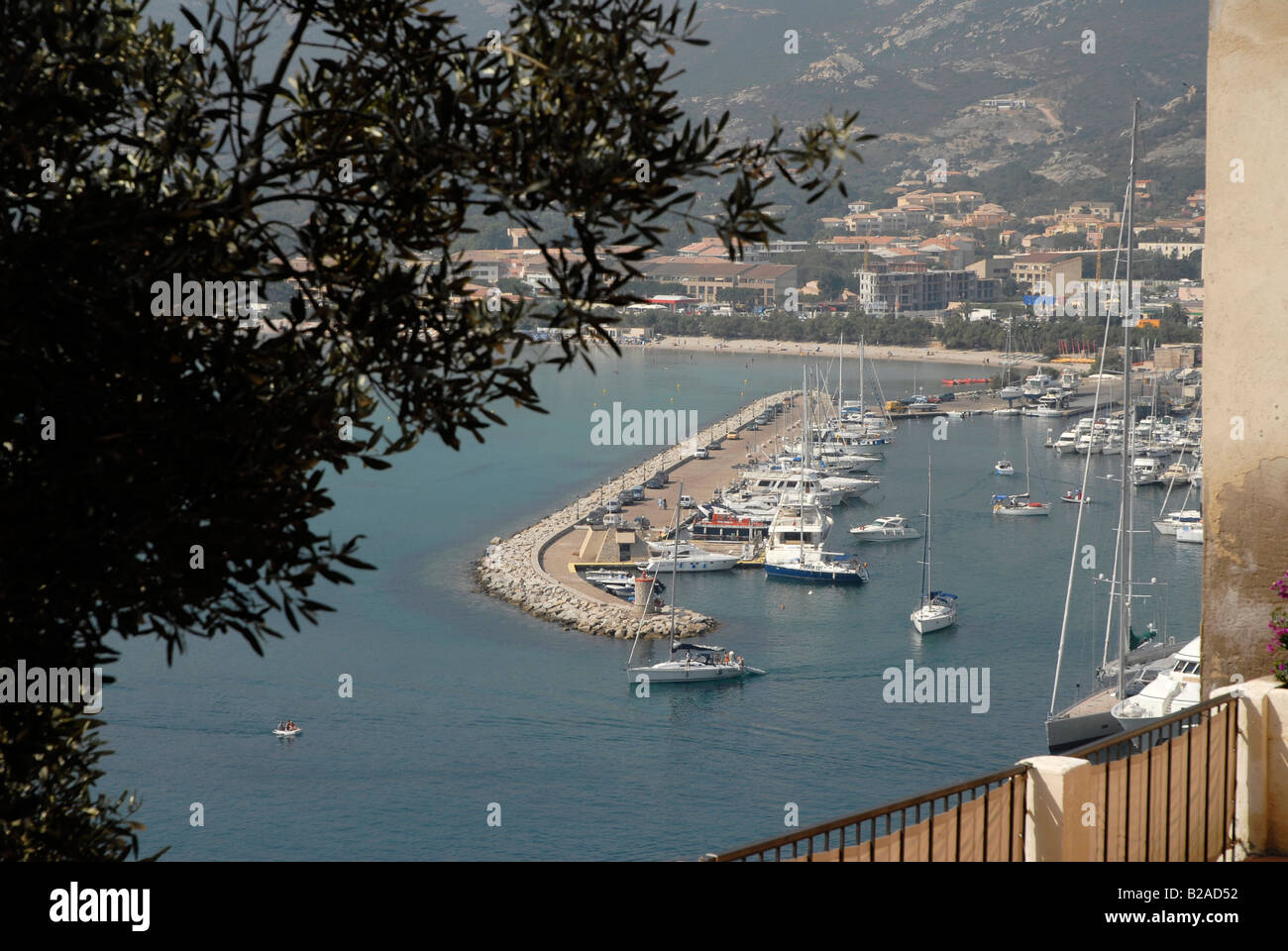 Il porto di Calvi in Corsica del Nord Foto Stock