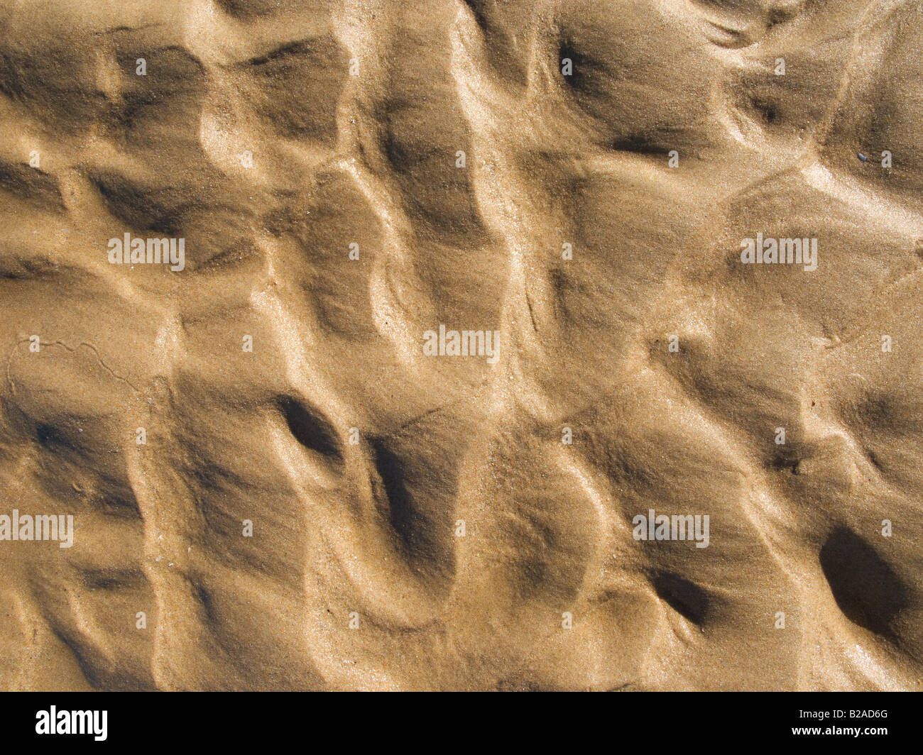 Golden Sand ripples texture di sfondo con ombre Foto Stock