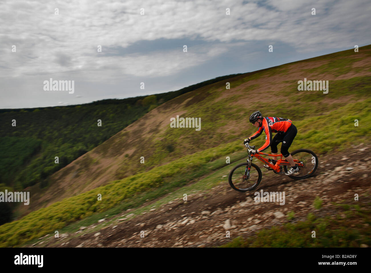 Mountain Biker corse in discesa in Galles Foto Stock