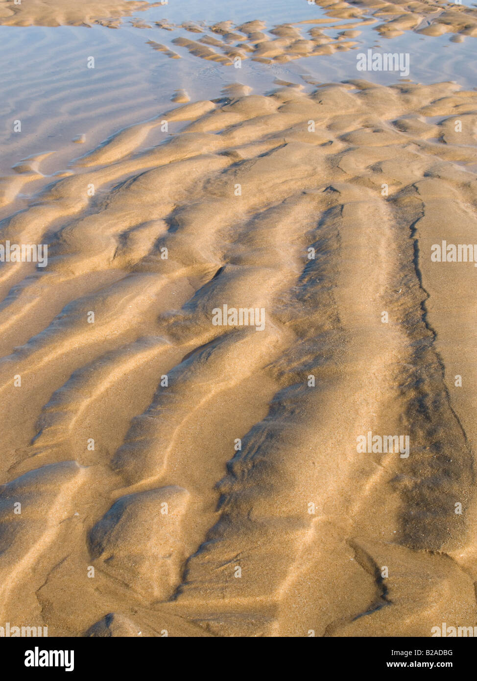 Increspature di sabbia in una spiaggia in estate Foto Stock