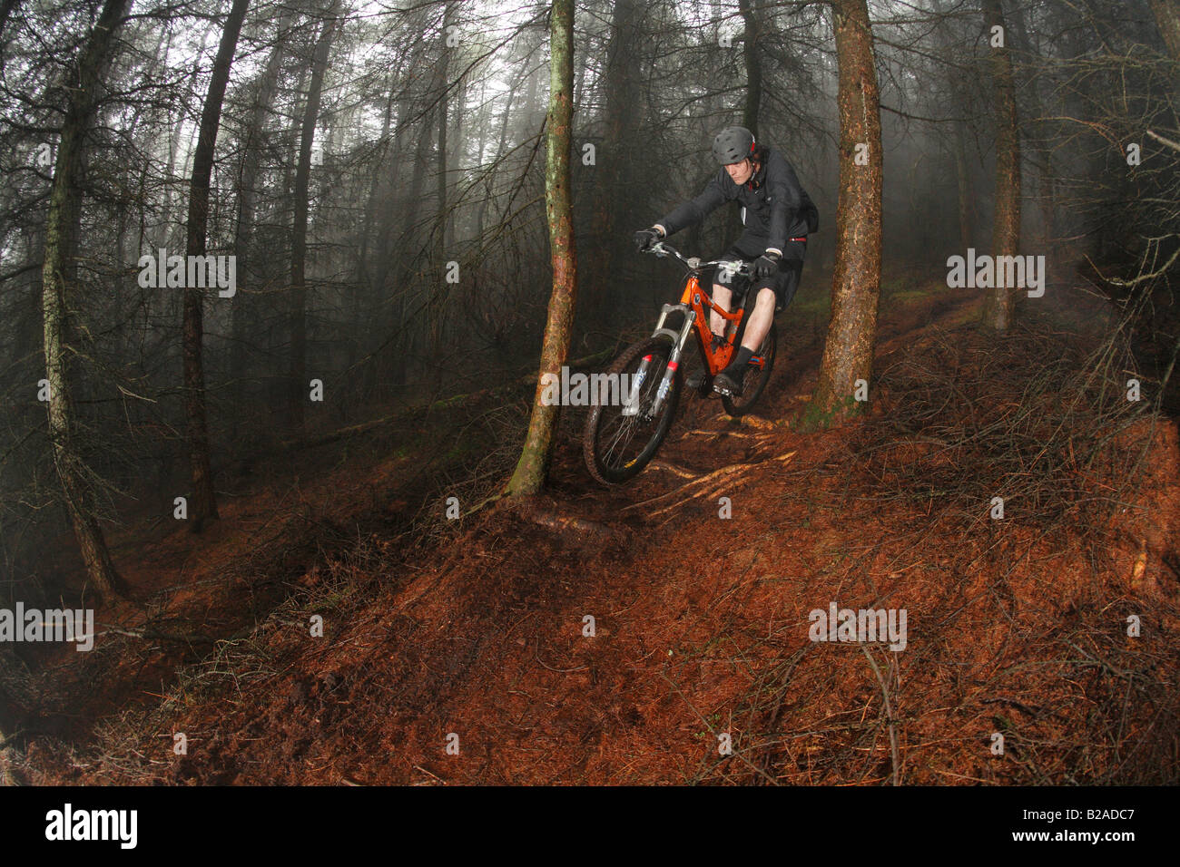 Mountain Biker capi in discesa a Cwm Carn Trail Foto Stock