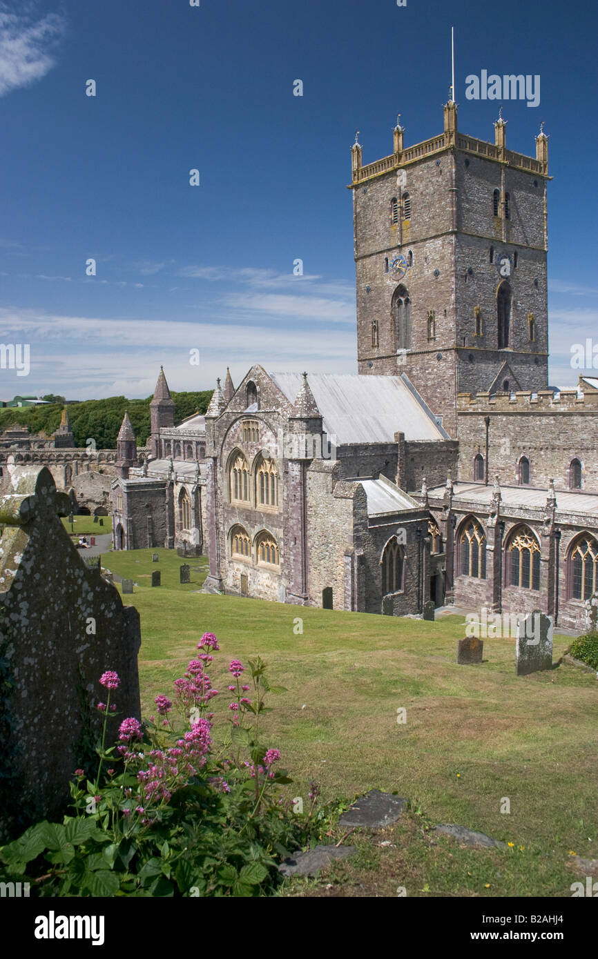 St Davids Cathedral, St Davids, Pembrokeshire, Regno Unito Foto Stock