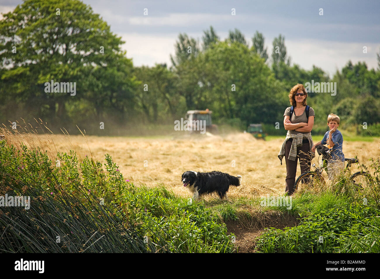 La campagna inglese. Foto Stock