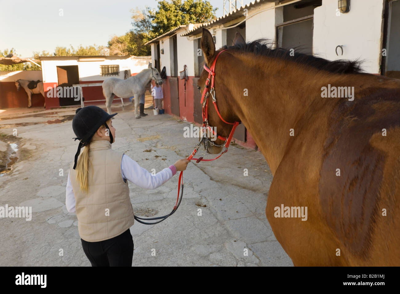 Nove anni leader ragazza cavallo al maneggio Foto Stock