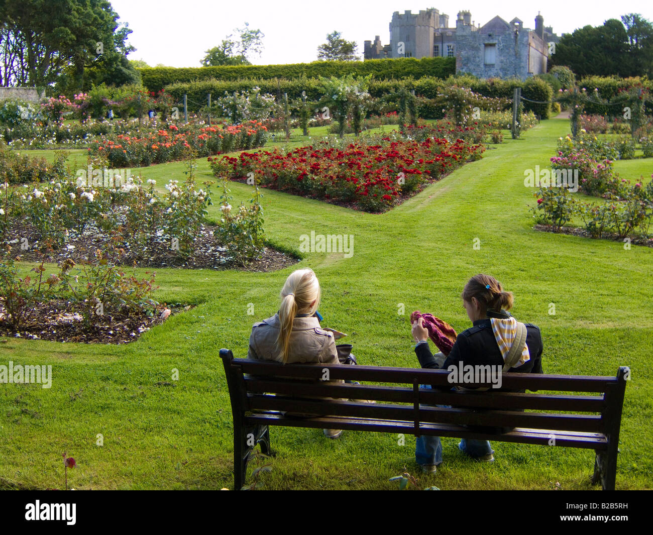 Nel giardino di rose di Ardgillan Park, North County Dublin, Irlanda, con il castello in background Foto Stock