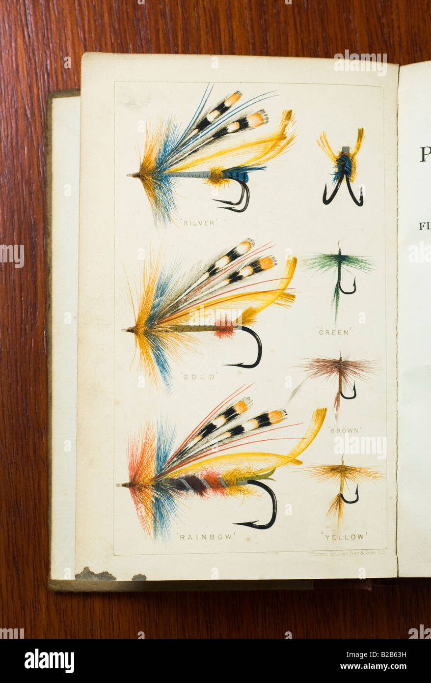 Oro Testa Trota Mosche, Confezione Da 12 Stelle Filanti Oro - Foto 2