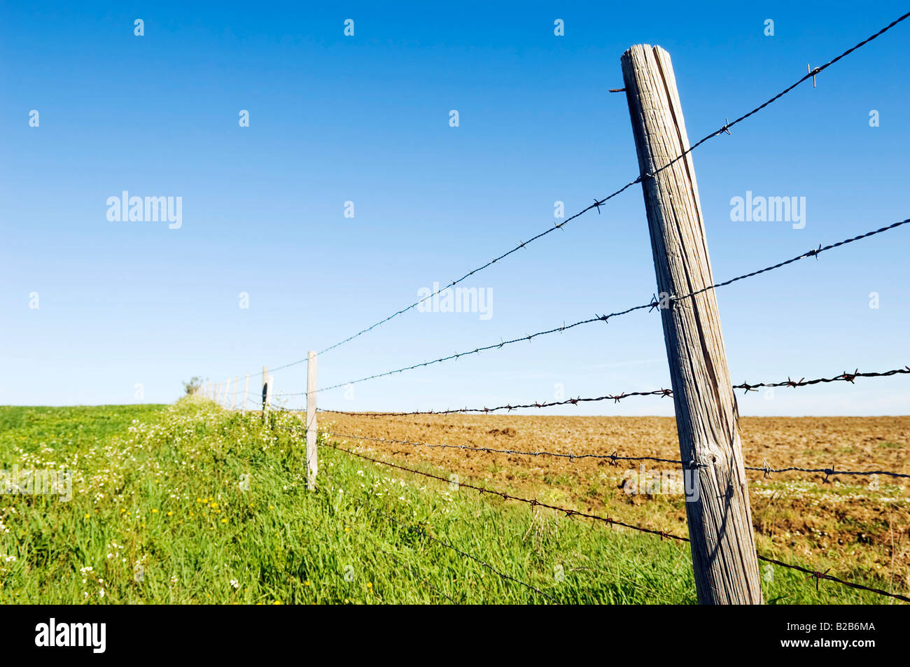 Prospettica di una barbwire recinzione che separa due campi Foto Stock