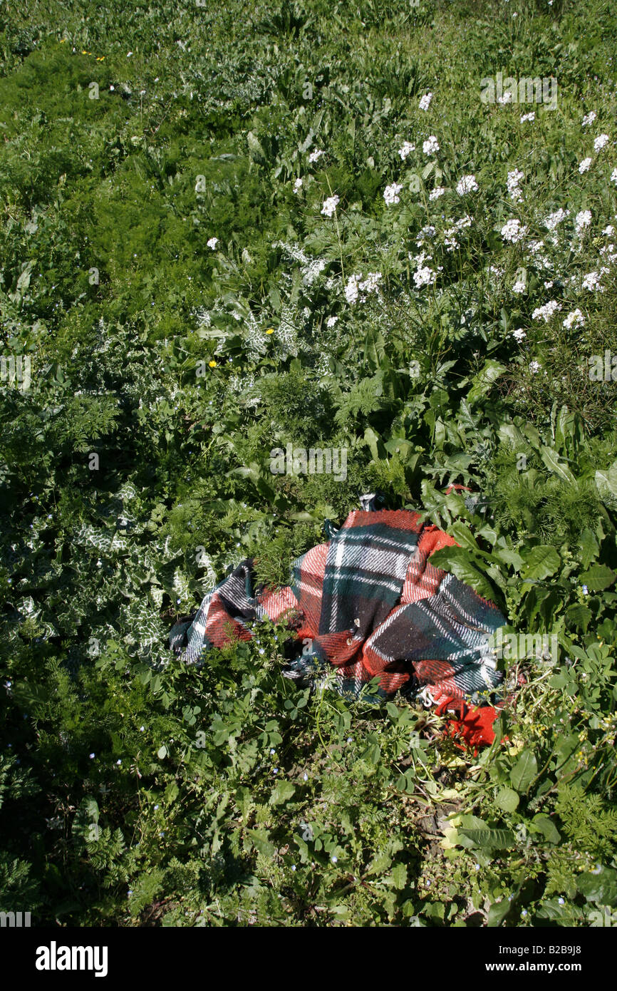 Sporco coperta tartan abbandonato nel lungo campo di erba Foto Stock