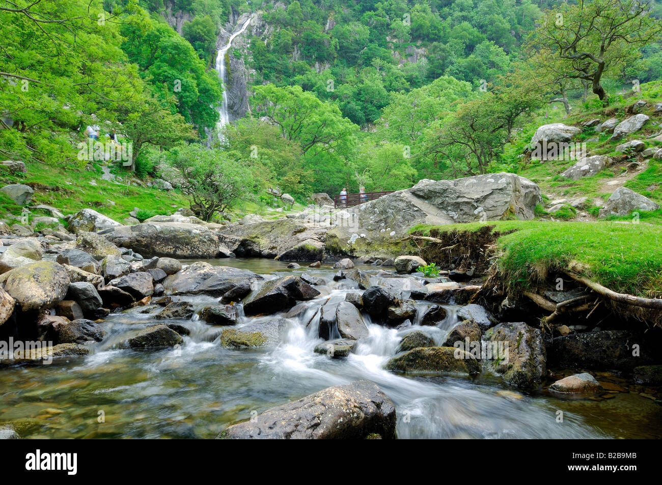 Afon Rhaeadr Fawr vicino a Bangor nel Galles del Nord che scorre attraverso Coedydd Aber con Aber cade in background Foto Stock