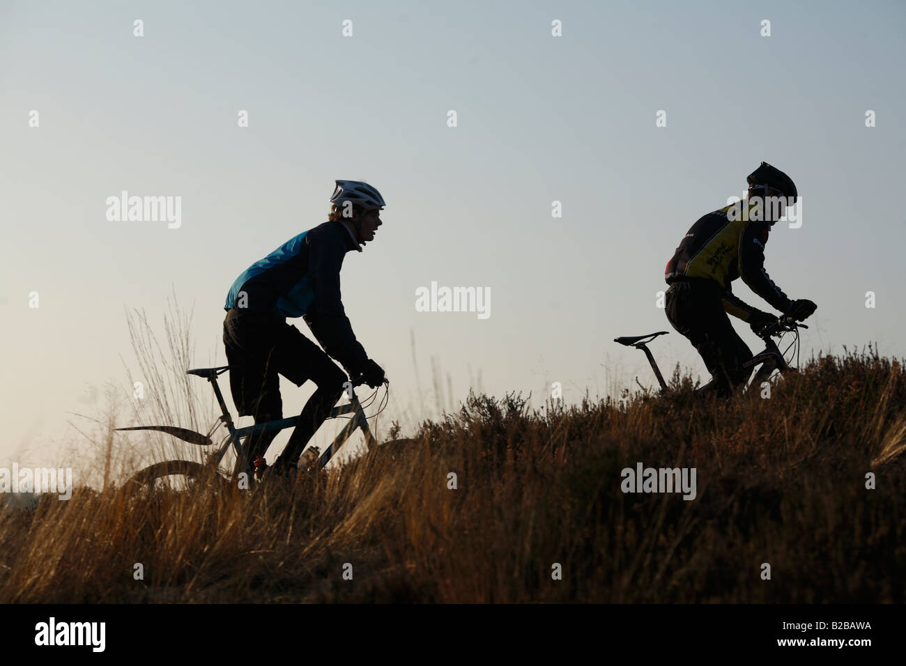 I ciclisti di montagna corsa in salita Foto Stock