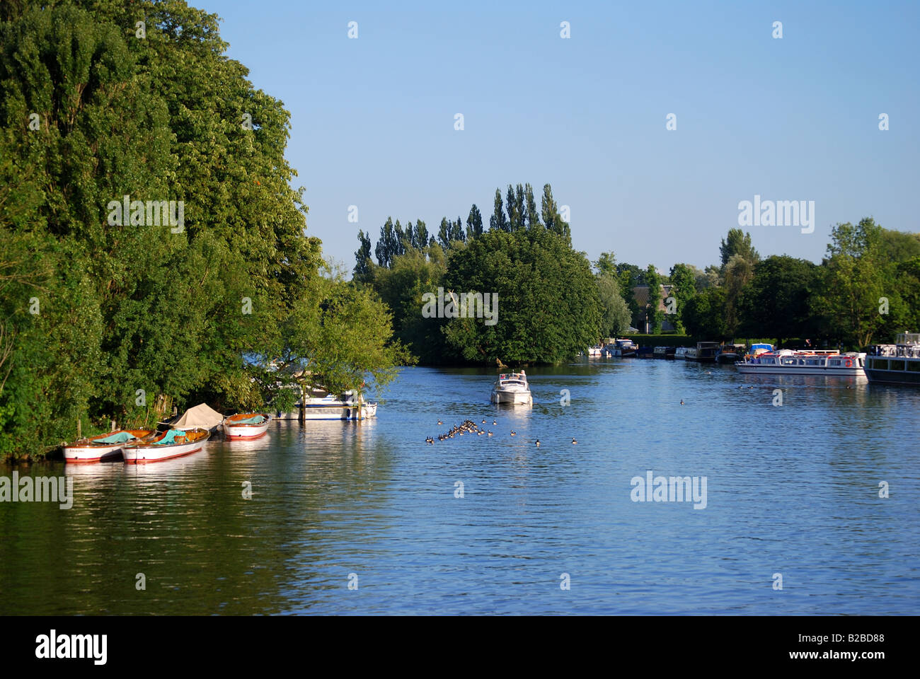 Gite in barca sul fiume Tamigi, Henley-on-Thames, Oxfordshire, England, Regno Unito Foto Stock