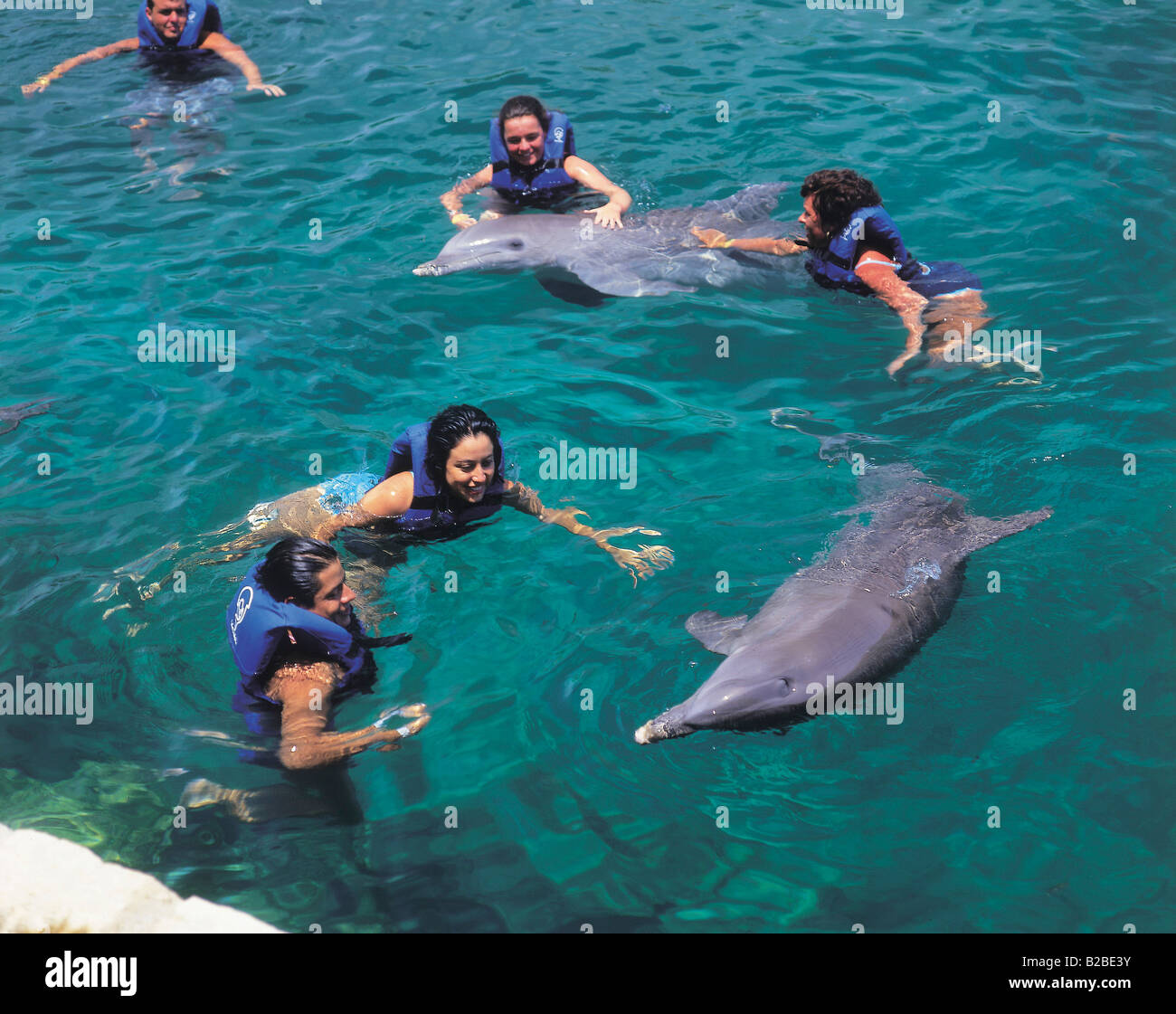 Nuotare con i delfini a Xcaret Yucatan Messico Foto stock - Alamy