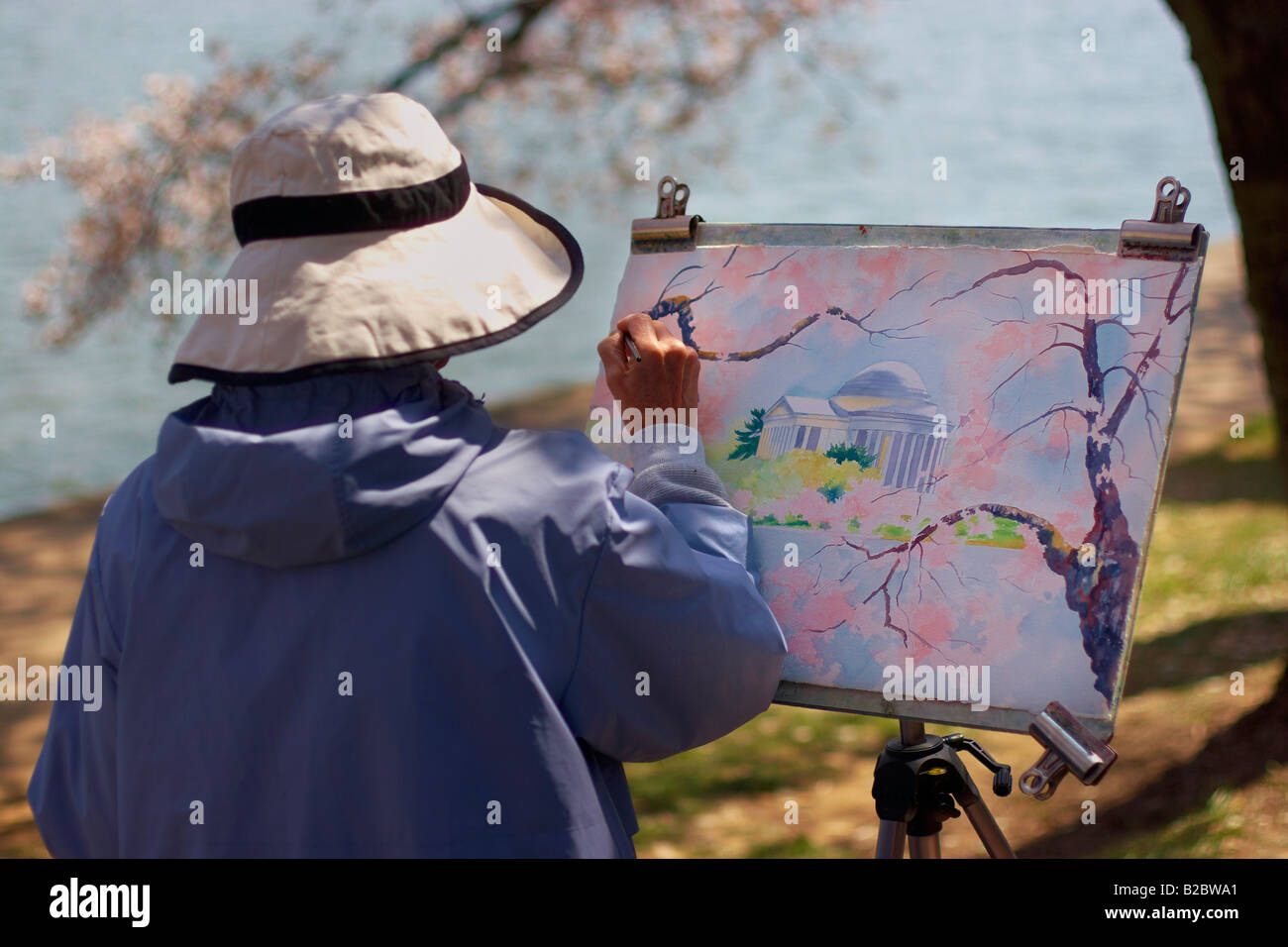 Una donna dipinge un acquerello del bacino di marea e Jefferson Memorial Washington DC STATI UNITI D'AMERICA Foto Stock