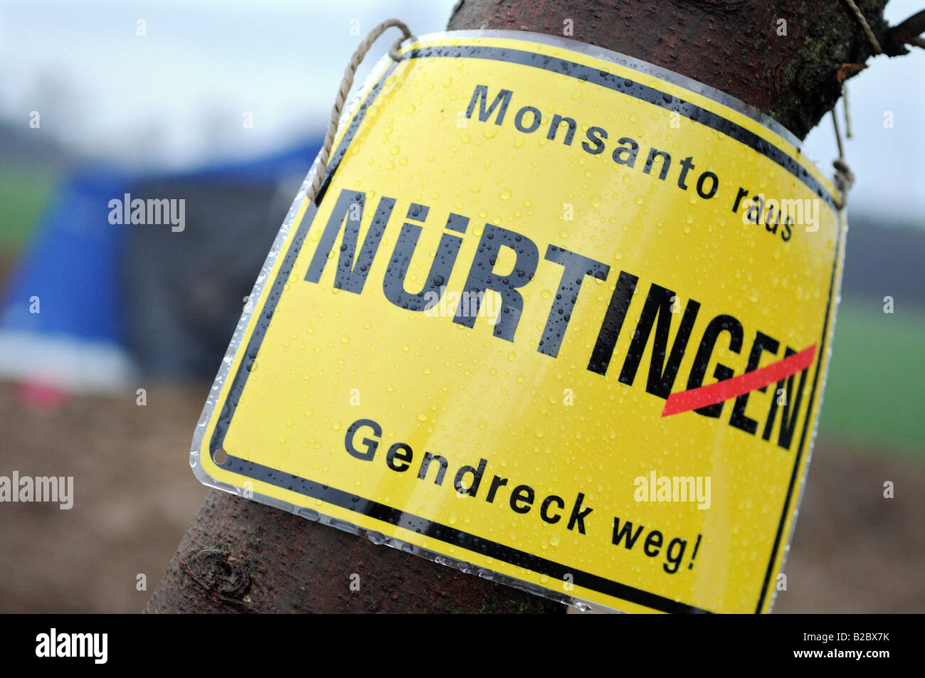 Anti OGM attivista occupando un campo sperimentale di mais geneticamente modificato a Hof von Tachenhausen, Oberbohingen, vicino a Nürtingen Foto Stock