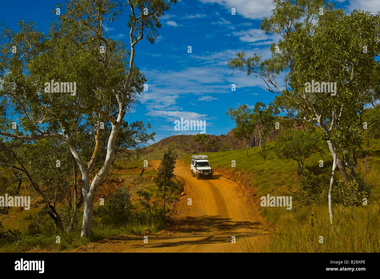 Veicolo 4x4 su una strada sterrata in la catena dei Bungle Bungle, Parco Nazionale di Purmululu, Australia Foto Stock