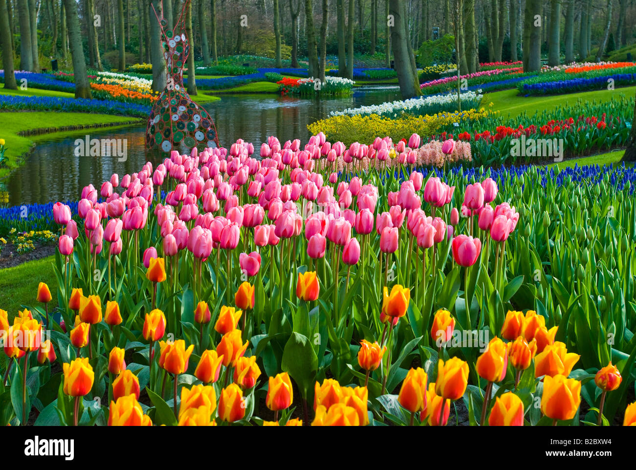 I tulipani (Tulipa), parco e giardini Keukenhof, Holland, Paesi Bassi, Europa Foto Stock