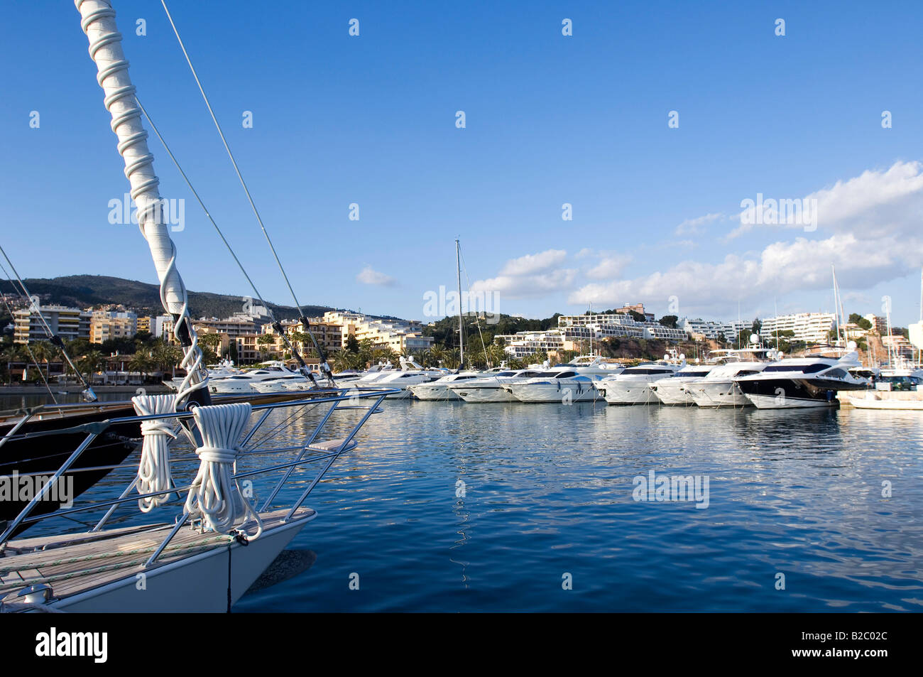 Vista di Portals Nous Marina, Maiorca, isole Baleari, Spagna, Europa Foto Stock
