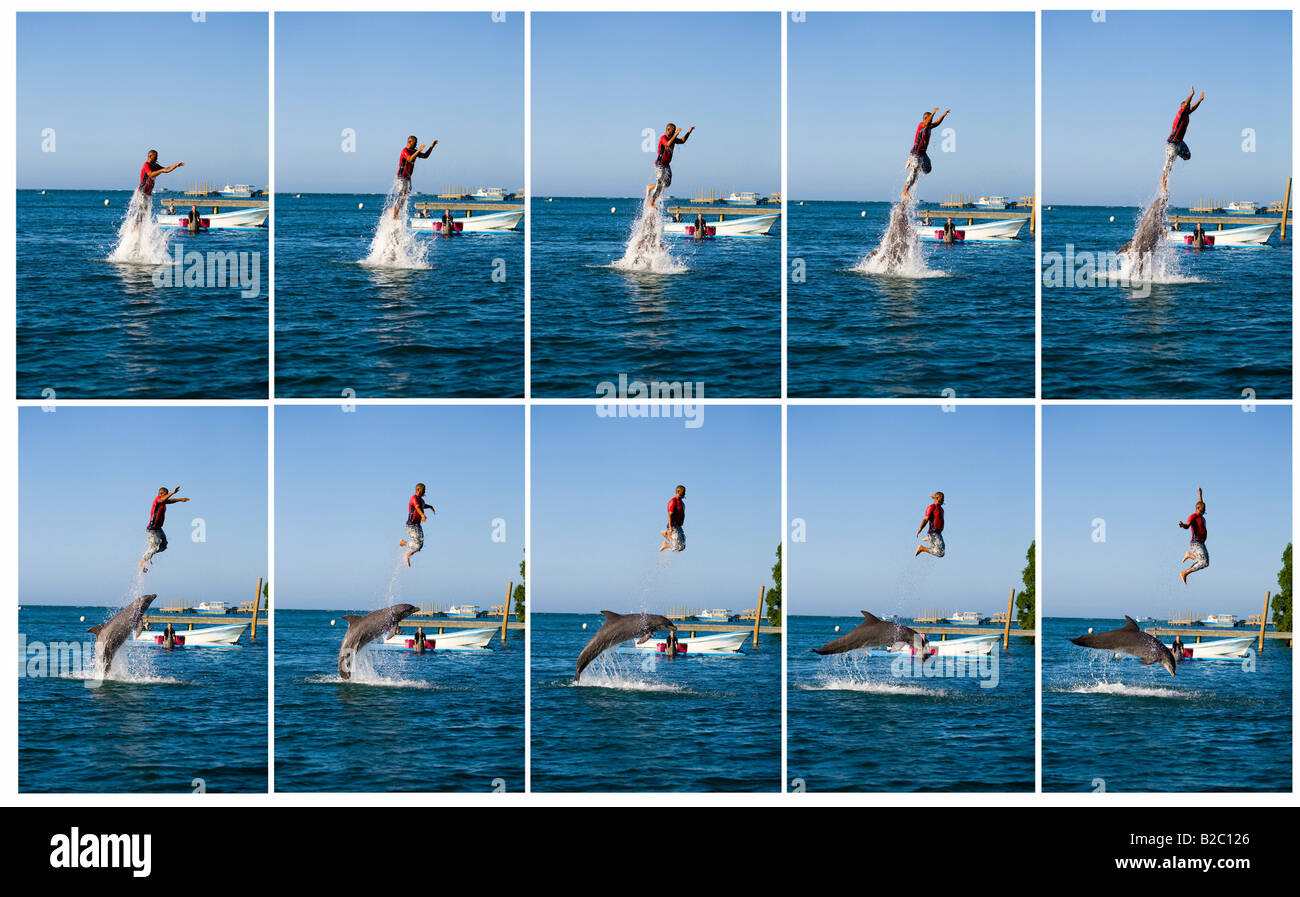 Dolphin trainer essendo spinto fuori dell'acqua da parte di un delfino ad un turista show, Bottlenose Dolphin (Tursiops truncatus), Roatán Foto Stock