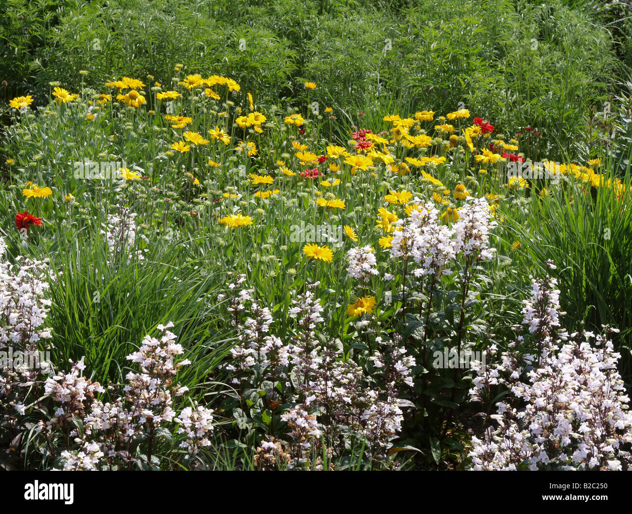 BUGA 2007, Federal Garden Exhibition 2007 Gera e Ronneburg, Bundesgartenschau Foto Stock