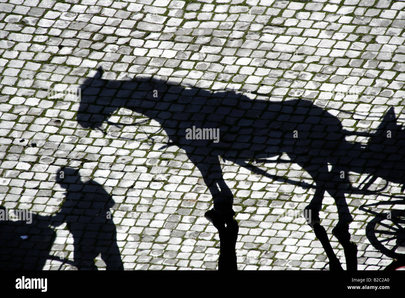 Carrozza a cavallo ombra sulla strada di ciottoli in Roma Foto Stock