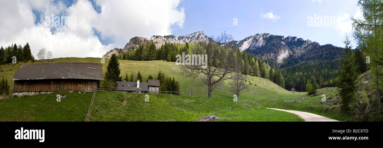 Alp montagna dietro Eisenerzer Alpen, mountain range, Stiria, Austria, Europa Foto Stock