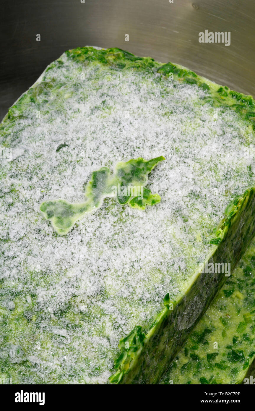 Congelati spinaci in una pentola Foto Stock