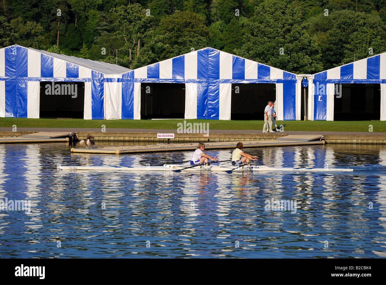 Canottaggio sul fiume Tamigi, Henley-on-Thames, Oxfordshire, England, Regno Unito Foto Stock