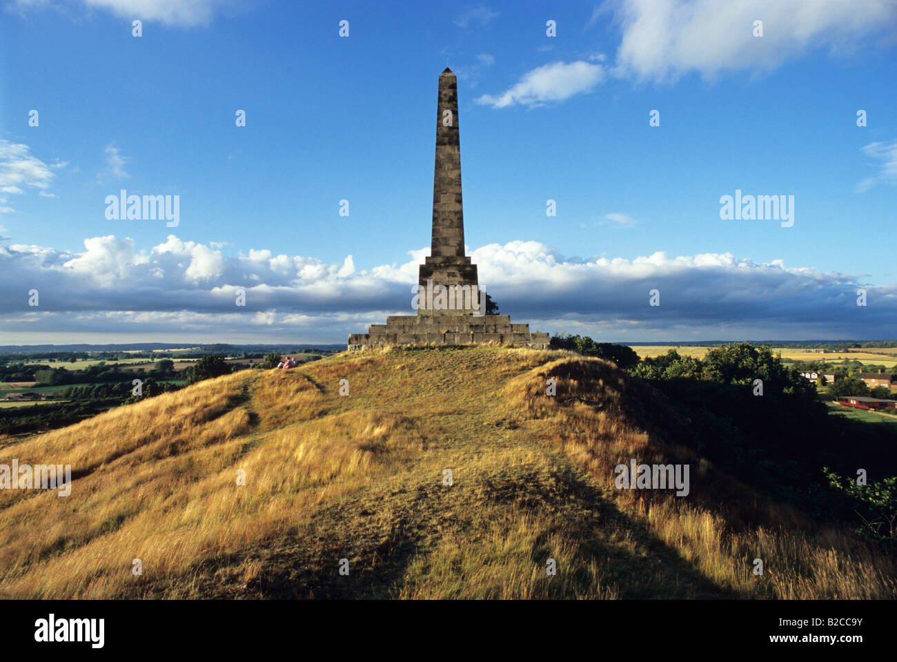 Il duca di Sutherland monumento, Lilleshall Hill, Lilleshall vicino a Telford Shropshire, Foto Stock