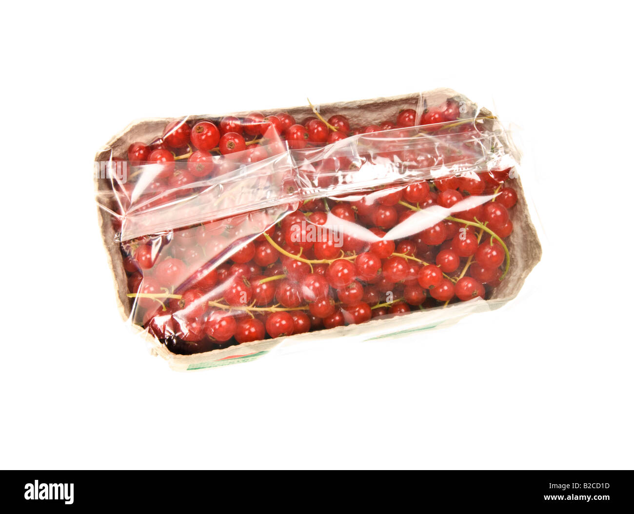 Ribes rosso granato panicle berry avvolte in pellicola plastica avvolgere folie vendere la casella di vendita foglio fresco su sfondo bianco Foto Stock