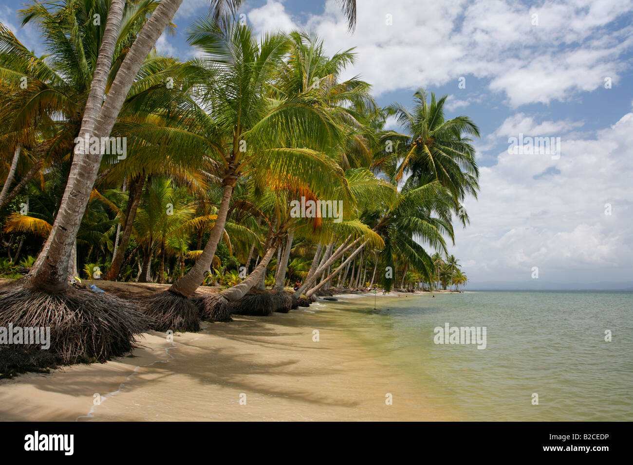 Bocas del Drago Beach in Bocas del Toro, Panama Foto Stock