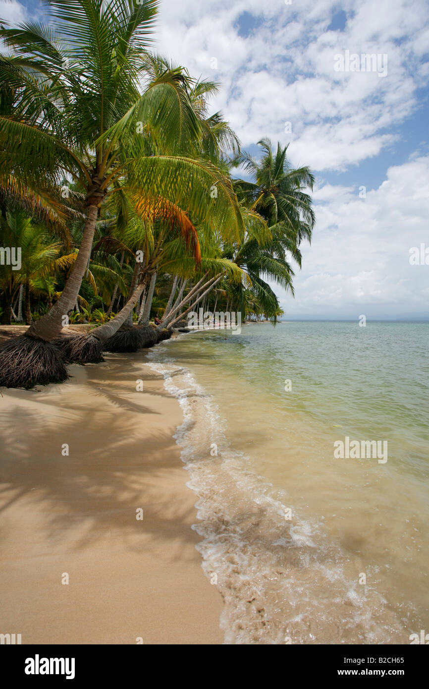 Bocas del Drago Beach in Bocas del Toro, Panama Foto Stock