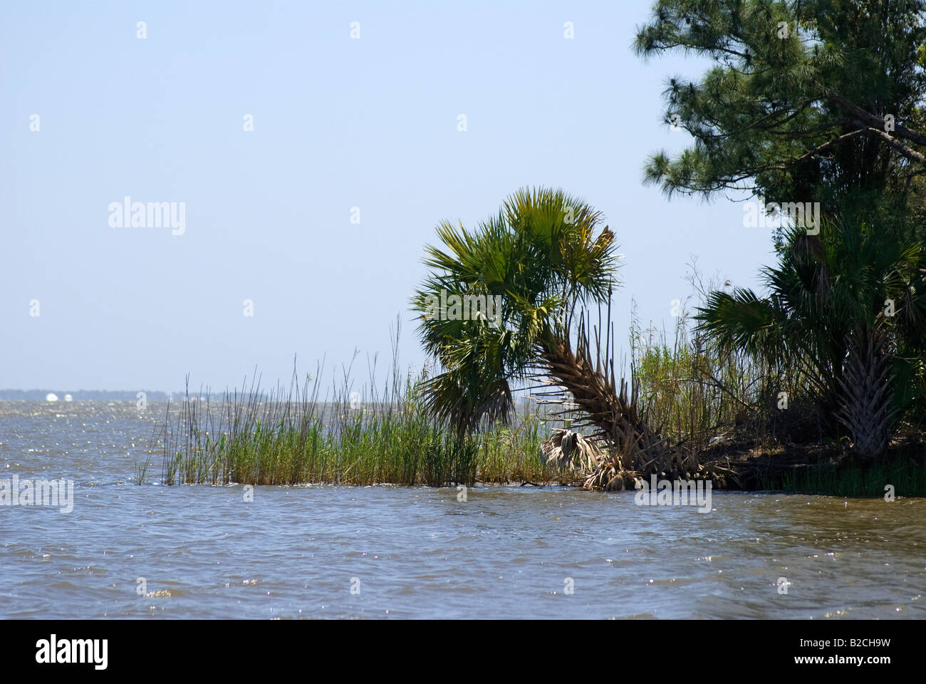 Alla foce del fiume Apalachicola come esso si svuota nella baia di Apalachicola Foto Stock