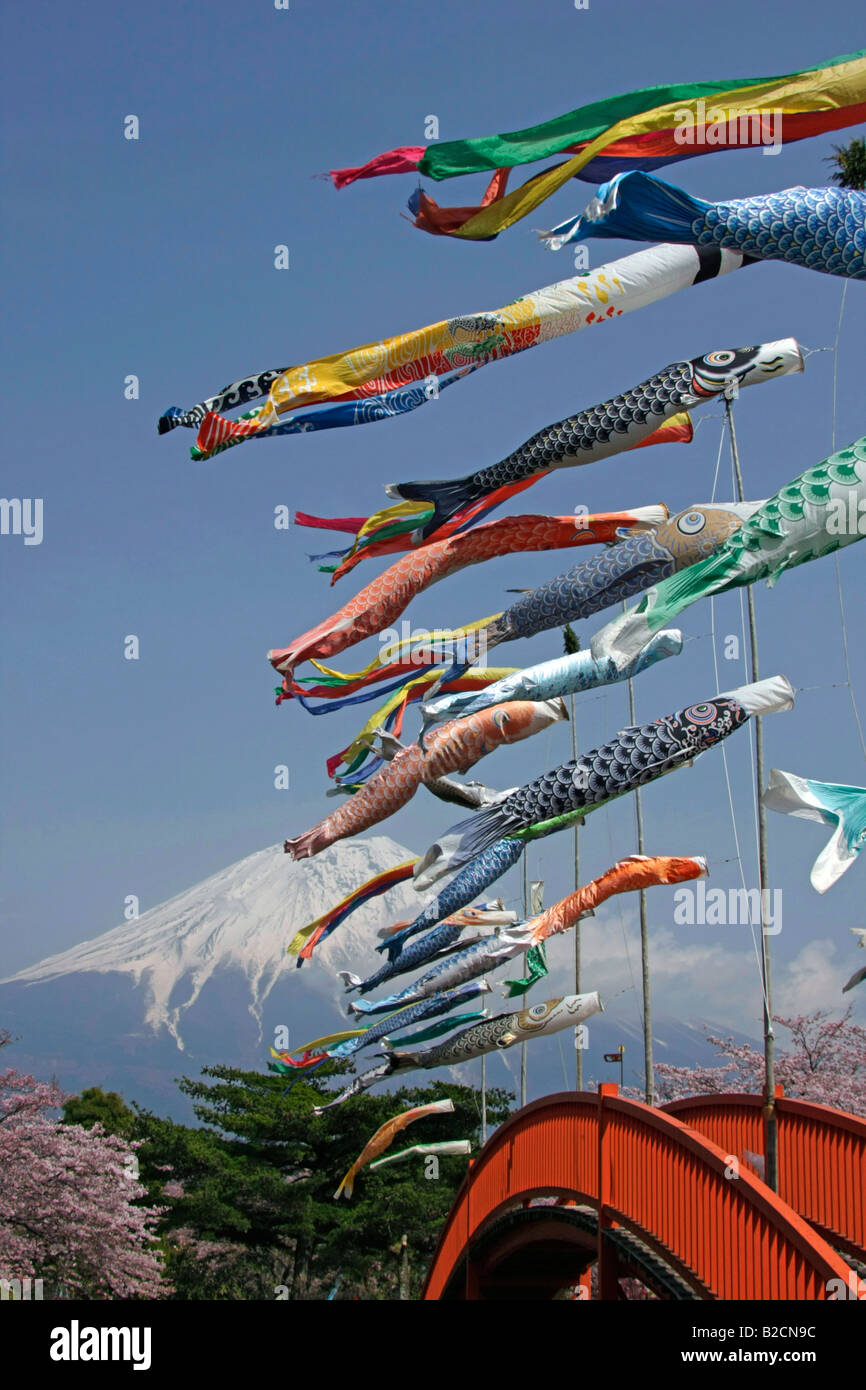 Carp Streamers(Koinobori) battenti Mt Fuji e fiori ciliegio Asagiri sfondo Highland Shizuoka Giappone Foto Stock