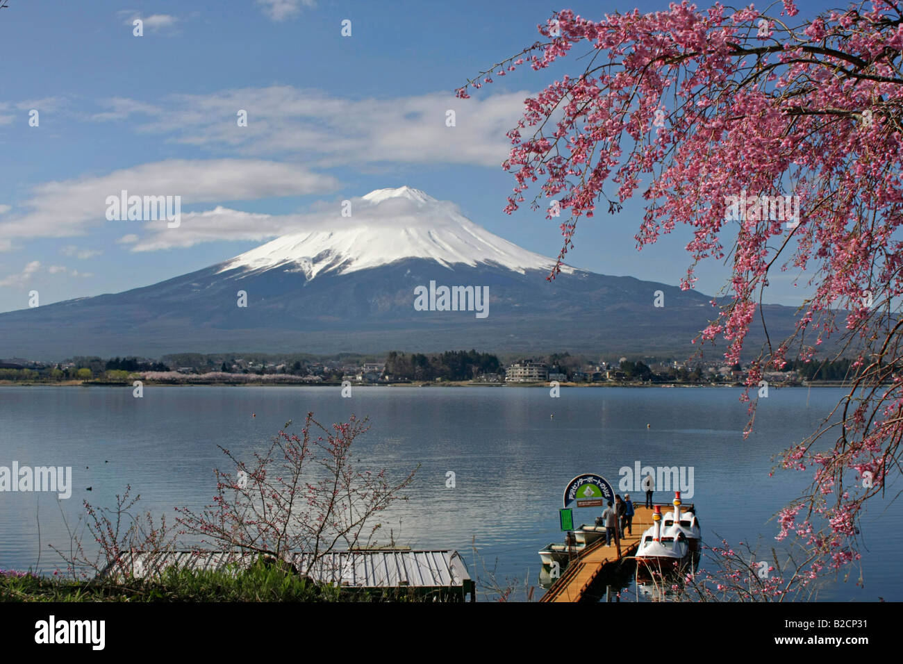 Il monte Fuji e fiori di ciliegio al lago Kawagutiko Yamanashi Giappone Foto Stock