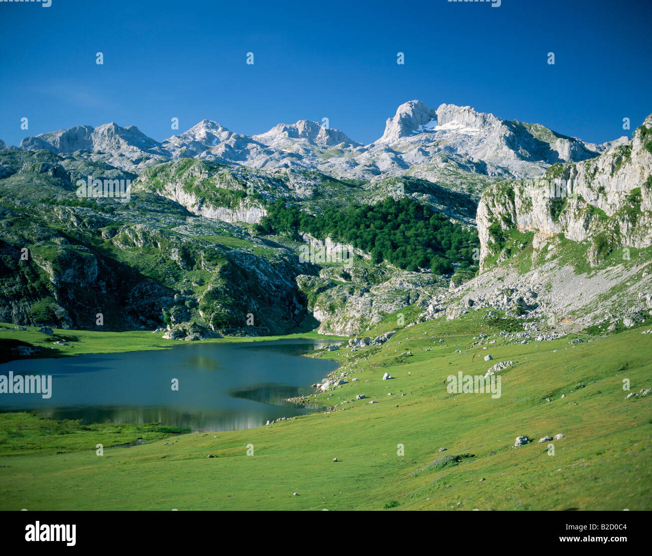 Vista del Picos montagne di fronte lago de la Ercina spagna Asturie Foto Stock