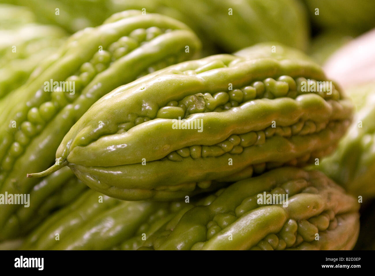 Gourd amaro (talvolta chiamato amaro melone) in vendita in un mercato di Ho Chi Minh City, Vietnam. Foto Stock