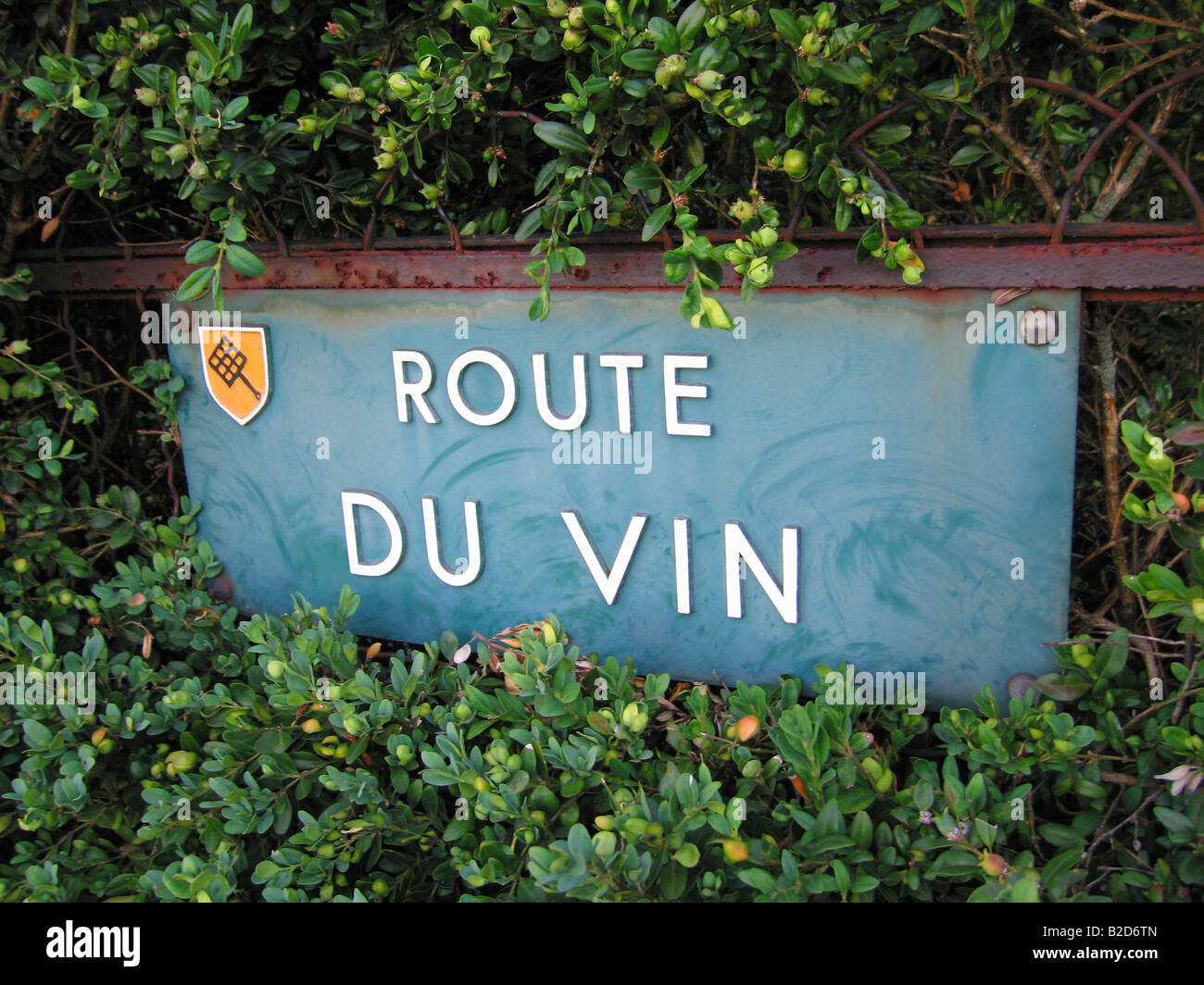 Cartello stradale del famoso vino francese road - Route du Vin - Rorschwihr - Regione Alsazia - Francia Foto Stock