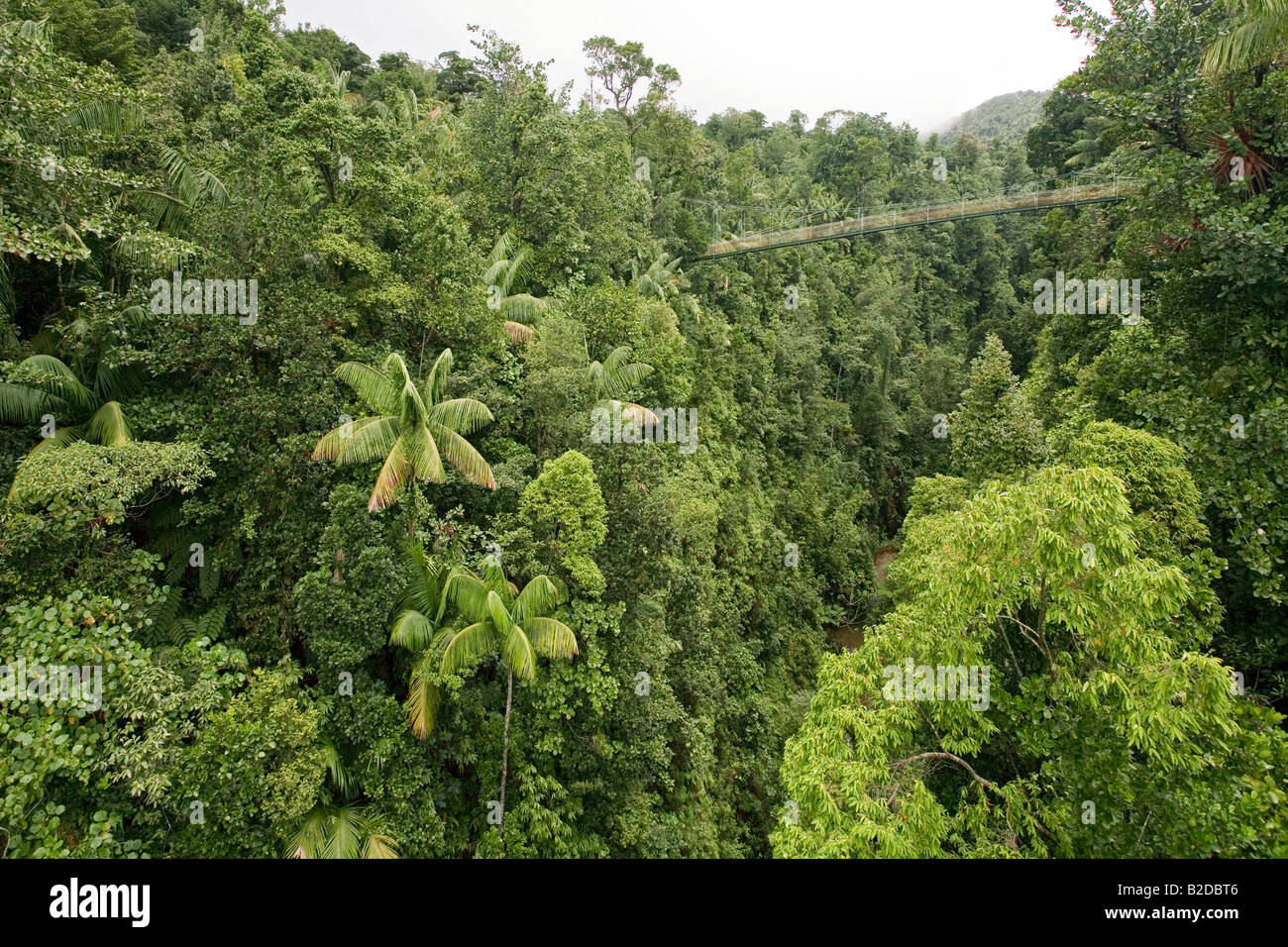 La prima colazione sulla gola del fiume taglia attraverso la foresta pluviale nel sud della Dominica West Indies Foto Stock