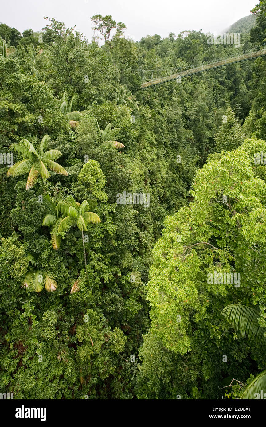 La prima colazione sulla gola del fiume taglia attraverso la foresta pluviale nel sud della Dominica West Indies Foto Stock