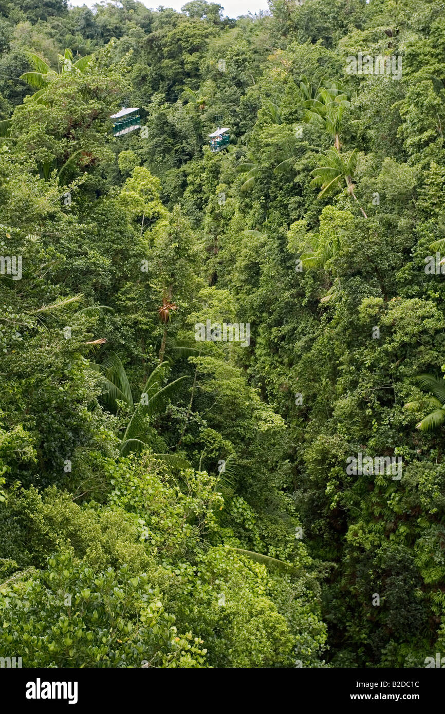 Rainforest Aerial Tram porta i passeggeri al di sopra della prima colazione sulla gola del fiume Dominica West Indies Foto Stock