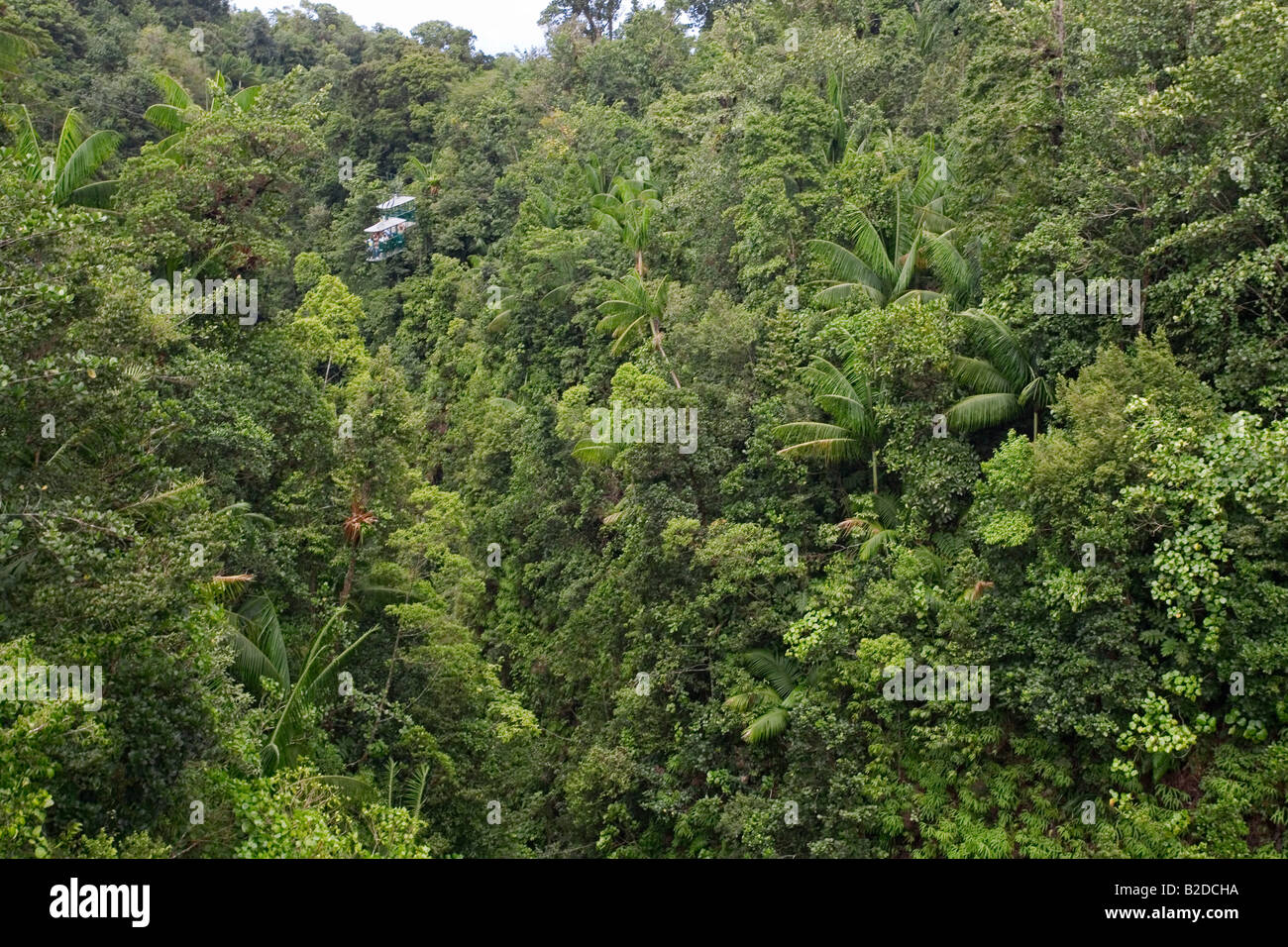 Rainforest Aerial Tram porta i passeggeri al di sopra della prima colazione sulla gola del fiume Dominica West Indies Foto Stock