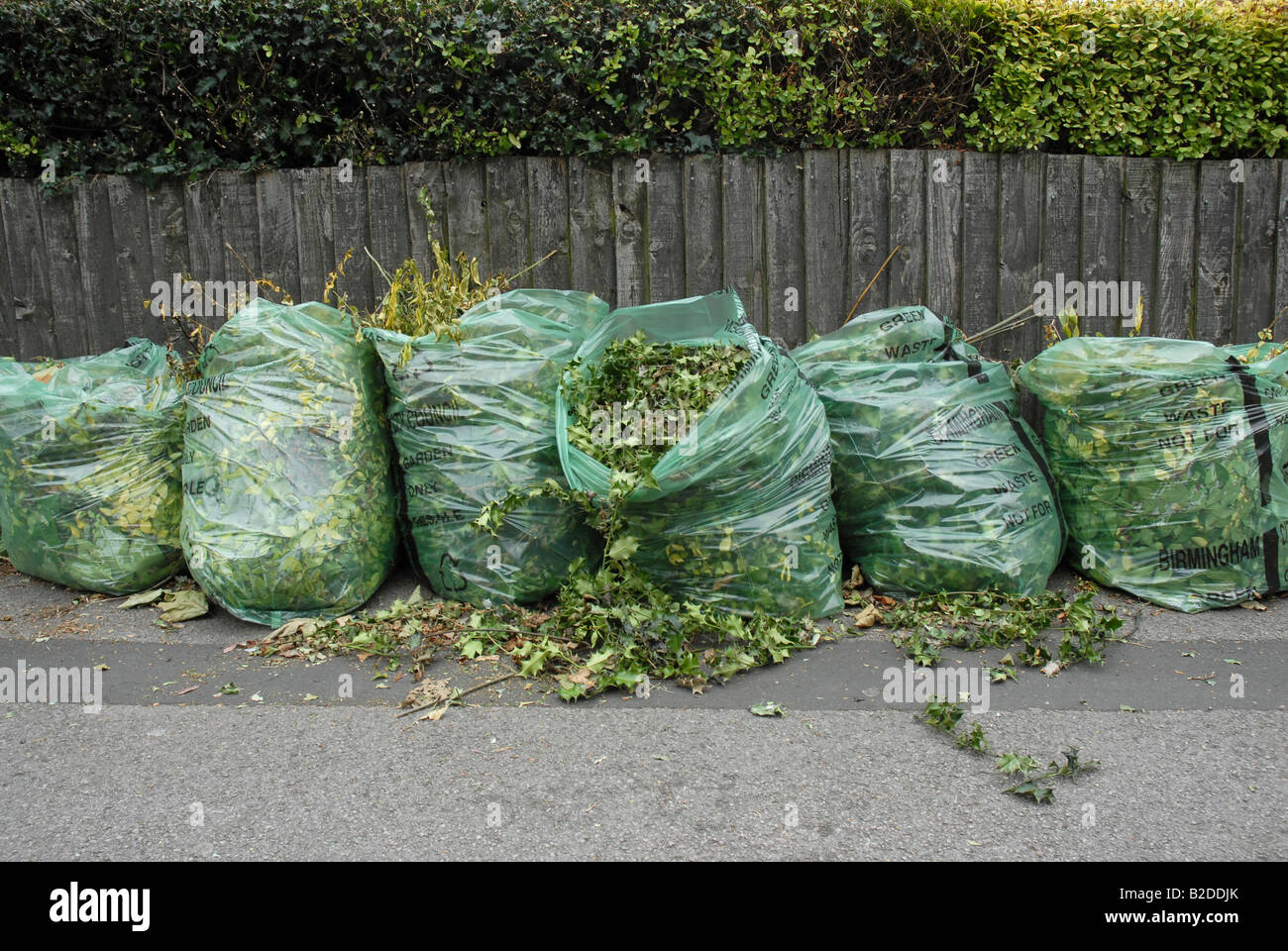 Ambiente rifiuti giardino verde sacchetti del consiglio riciclare hedge rivestimento talee di prato per raccolta rifiuti raccogliere suburban suburbia Foto Stock