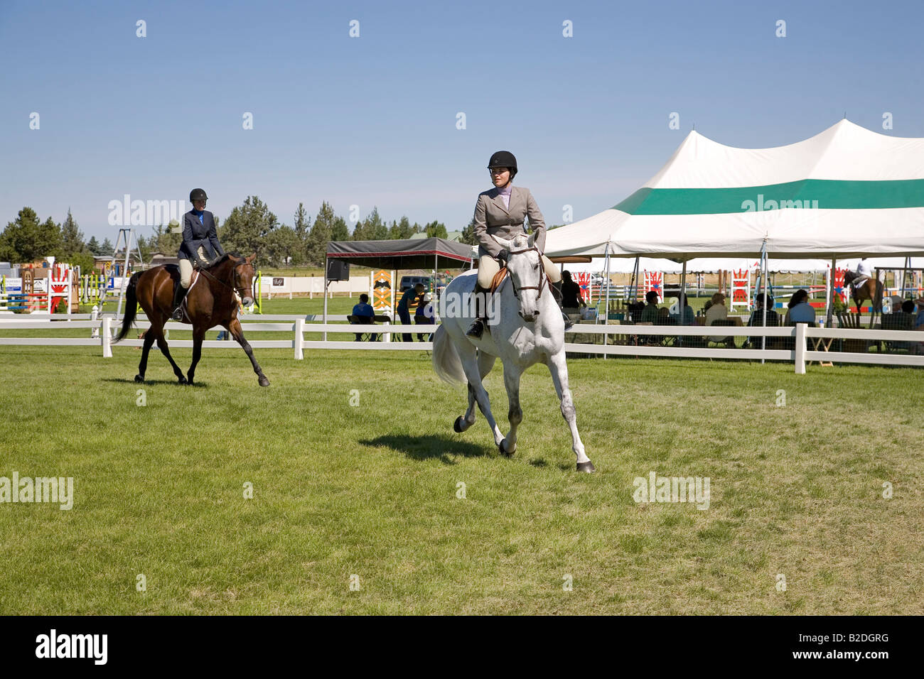 Piloti in hunter anello ponticello durante una competizione equestre al High Desert Classic un evento equestre e horse show Foto Stock