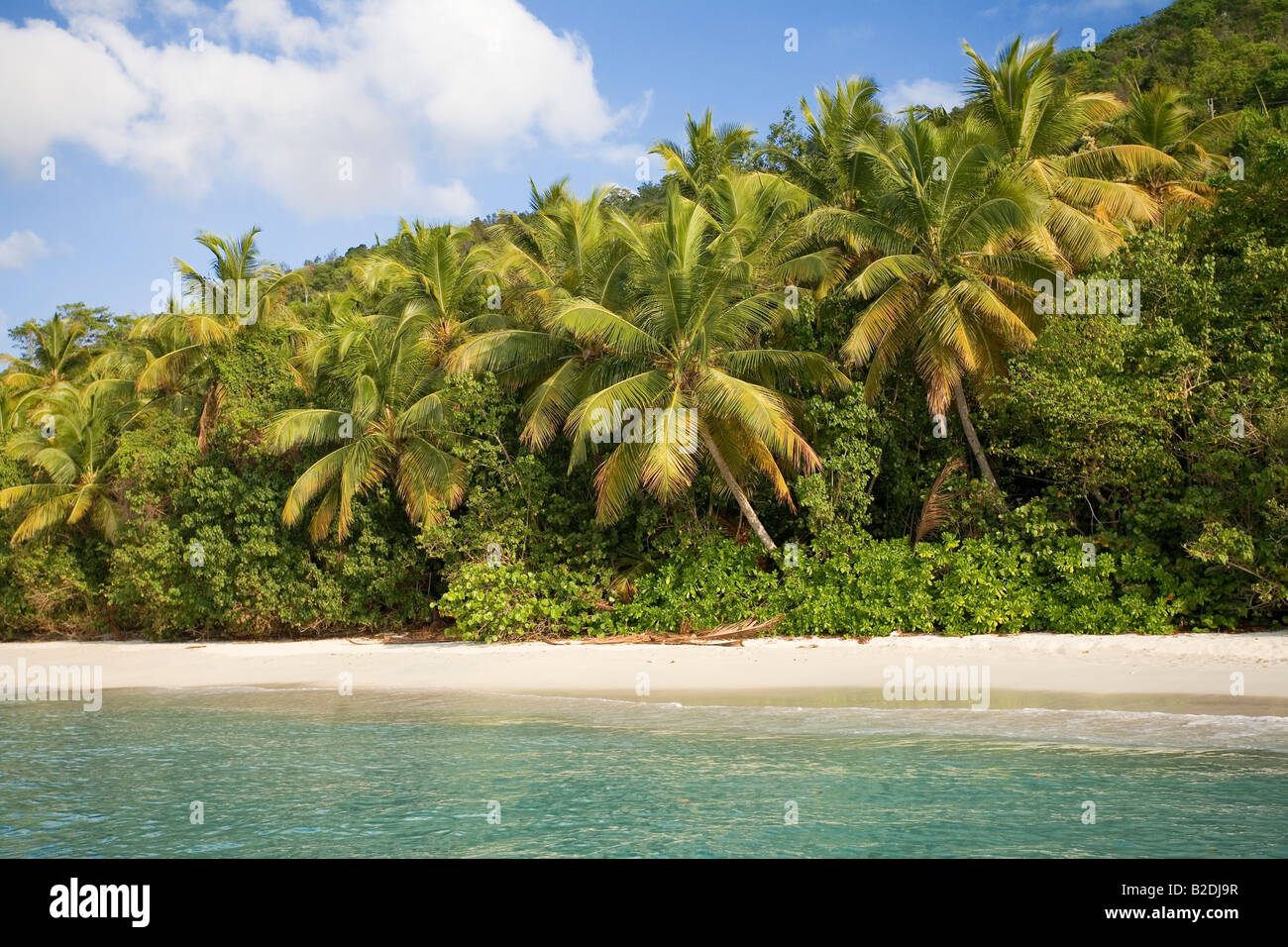 Cinnamon Bay St Johns Isole Vergini Americane Foto Stock