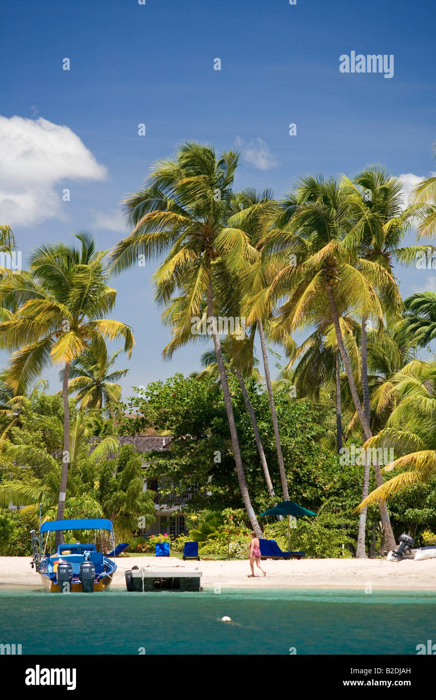 Fico d'india Bay Grenada Foto Stock